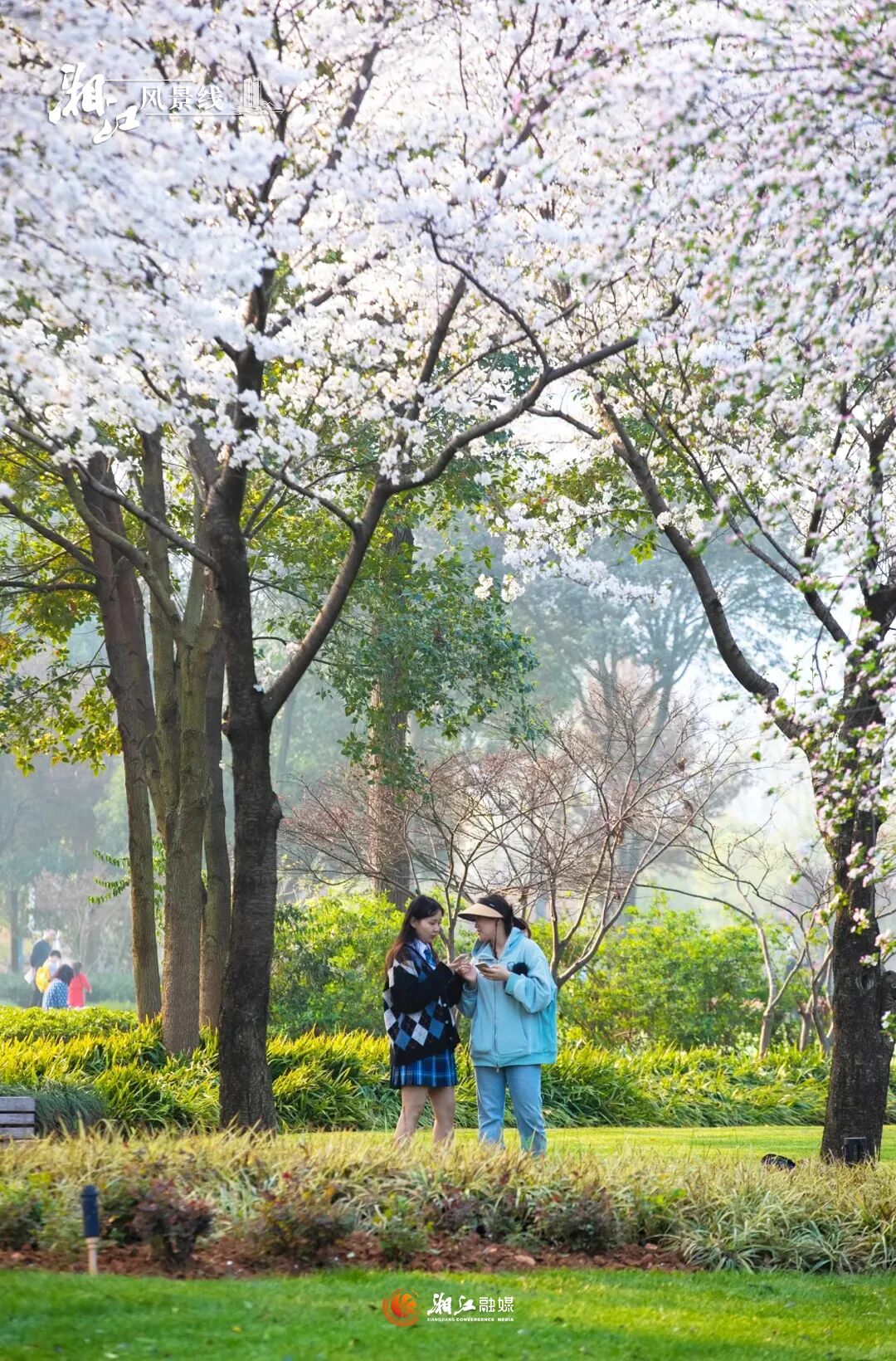 ���z���ĕr(sh��)��